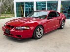Thumbnail Photo 10 for 1999 Ford Mustang Cobra Coupe